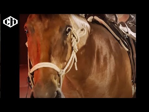 Album-Kurzreviews April 2023: Neues von Fall Out Boy, Enter Shikari, Two Year Vacation & mehr lyteCache.php?origThumbUrl=https%3A%2F%2Fi.ytimg.com%2Fvi%2FTgPIzY1ATMY%2Fhqdefault 