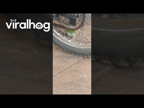 Fluff der Woche (107) lyteCache.php?origThumbUrl=https%3A%2F%2Fi.ytimg.com%2Fvi%2FUDWSq3FR82s%2Fhqdefault 