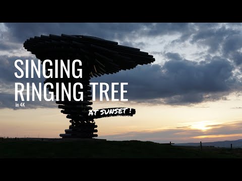 "The Singing Ringing Tree" macht aus Wind Musik lyteCache.php?origThumbUrl=https%3A%2F%2Fi.ytimg.com%2Fvi%2FW07_p8sMofQ%2Fhqdefault 