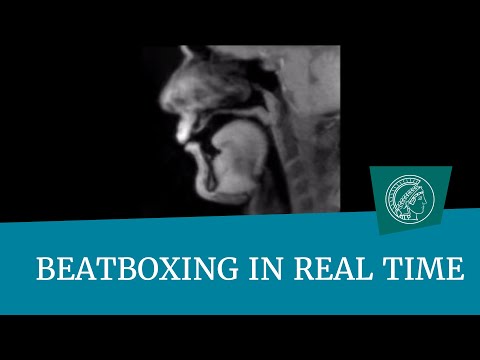 Beatboxing im Querschnitt lyteCache.php?origThumbUrl=https%3A%2F%2Fi.ytimg.com%2Fvi%2FWh4aEc4yPh0%2Fhqdefault 