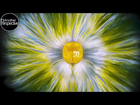 Makro-Aufnahmen sich auflösender M&M's lyteCache.php?origThumbUrl=https%3A%2F%2Fi.ytimg.com%2Fvi%2FXmA6kbJ-1y4%2F0 