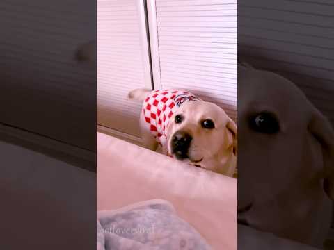 Montagsgefühle Nr. 471 lyteCache.php?origThumbUrl=https%3A%2F%2Fi.ytimg.com%2Fvi%2FXyVk1hf1ky4%2F0 