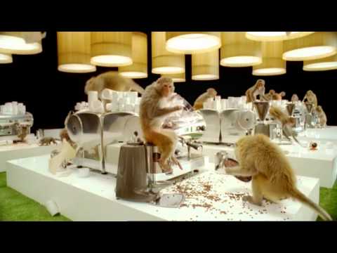 Können Affen Kaffee kochen? lyteCache.php?origThumbUrl=https%3A%2F%2Fi.ytimg.com%2Fvi%2FZsvep3Nh_uI%2Fhqdefault 