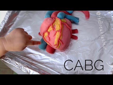 Ärztin erklärt Sohn Operationen mittels Modellen aus Knete lyteCache.php?origThumbUrl=https%3A%2F%2Fi.ytimg.com%2Fvi%2F_mNqsbfhjDw%2Fhqdefault 