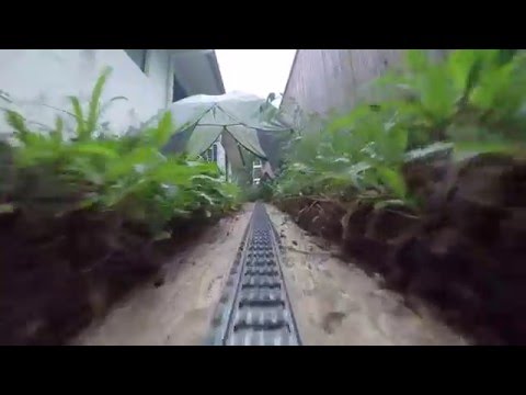 Mit der LEGO-Eisenbahn durch den Garten lyteCache.php?origThumbUrl=https%3A%2F%2Fi.ytimg.com%2Fvi%2Faqpe3gKXlH4%2Fhqdefault 