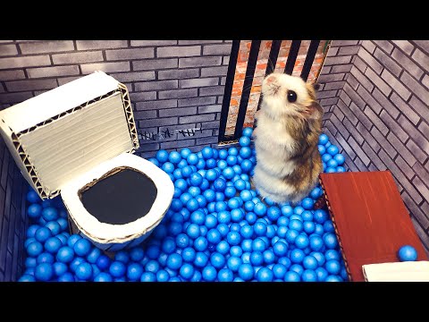 Selbstgebasteltes Hamster-Labyrinth lyteCache.php?origThumbUrl=https%3A%2F%2Fi.ytimg.com%2Fvi%2Fb2xgiHVjT7o%2Fhqdefault 