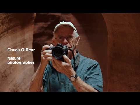 Der Fotograf des ikonischen Windows XP-Hintergrundbildes lyteCache.php?origThumbUrl=https%3A%2F%2Fi.ytimg.com%2Fvi%2Fb414uFIR5RM%2F0 