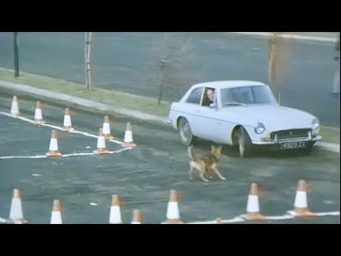 33 Kleinigkeiten gegen Langeweile (18/2025) lyteCache.php?origThumbUrl=https%3A%2F%2Fi.ytimg.com%2Fvi%2Fb4BdBIg9jKU%2Fhqdefault 