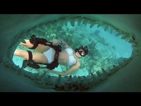 Mit GoPro und Haien unter Wasser lyteCache.php?origThumbUrl=https%3A%2F%2Fi.ytimg.com%2Fvi%2Fbj5ufMLKYhk%2Fhqdefault 