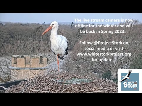 Storchennest-Live-Webcam lyteCache.php?origThumbUrl=https%3A%2F%2Fi.ytimg.com%2Fvi%2FcbJLmCBa4_4%2Fhqdefault_live 