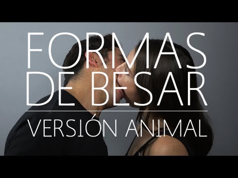 Wie Tiere küssen lyteCache.php?origThumbUrl=https%3A%2F%2Fi.ytimg.com%2Fvi%2Fcwo3M_xfaBM%2F0 