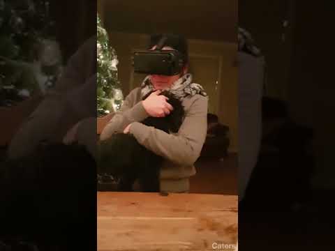 Montagsgefühle lyteCache.php?origThumbUrl=https%3A%2F%2Fi.ytimg.com%2Fvi%2Fdo-CayGEPYg%2Fhqdefault 