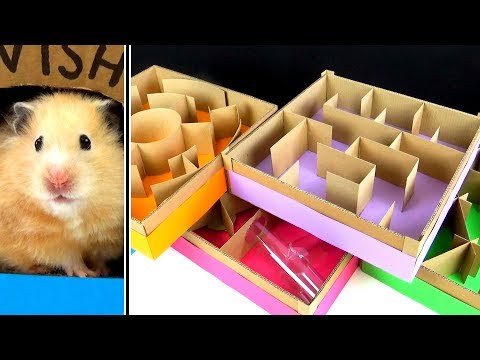 DIY-Hamsterlabyrinth auf fünf Stockwerken lyteCache.php?origThumbUrl=https%3A%2F%2Fi.ytimg.com%2Fvi%2FfSOlMGveK8I%2Fhqdefault 