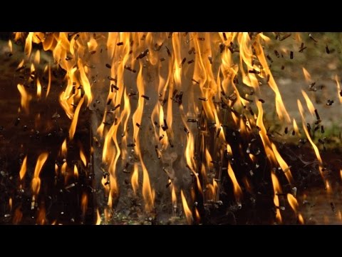 6.000 Streichholzköpfe brennen in 2.500 FpS lyteCache.php?origThumbUrl=https%3A%2F%2Fi.ytimg.com%2Fvi%2FfhdIYS2gOBU%2Fhqdefault 