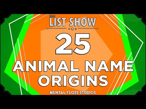 Woher Tiere ihre Namen haben lyteCache.php?origThumbUrl=https%3A%2F%2Fi.ytimg.com%2Fvi%2FgDBRu5YNN_A%2Fhqdefault 