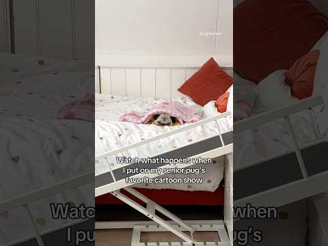 Fluff der Woche (92) lyteCache.php?origThumbUrl=https%3A%2F%2Fi.ytimg.com%2Fvi%2FgHk0_Bo_XKI%2Fhqdefault 