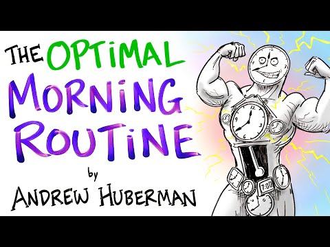 Die optimale Morgenroutine nach Andrew Huberman lyteCache.php?origThumbUrl=https%3A%2F%2Fi.ytimg.com%2Fvi%2FgR_f-iwUGY4%2Fhqdefault 