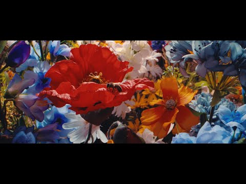 Musikvideo: Casper - "Alles war schön und nichts tat weh" lyteCache.php?origThumbUrl=https%3A%2F%2Fi.ytimg.com%2Fvi%2FhZFFm2O-4DM%2Fhqdefault 