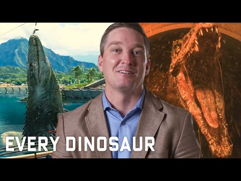 Experte erklärt alle Jurassic Park-Dinosaurier lyteCache.php?origThumbUrl=https%3A%2F%2Fi.ytimg.com%2Fvi%2FhcUAJNqxrUY%2Fhqdefault 