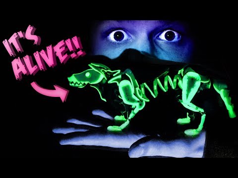 Hunde-Handpuppe von Barnaby Dixon lyteCache.php?origThumbUrl=https%3A%2F%2Fi.ytimg.com%2Fvi%2Fk-IHbm5cvQg%2Fhqdefault 