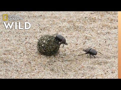 Montagsgefühle lyteCache.php?origThumbUrl=https%3A%2F%2Fi.ytimg.com%2Fvi%2Fl7-APvaPdbk%2F0 