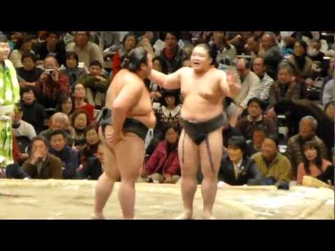 Shokkiri ist Sumo in lustig lyteCache.php?origThumbUrl=https%3A%2F%2Fi.ytimg.com%2Fvi%2Fmdszgf9ncY8%2Fhqdefault 
