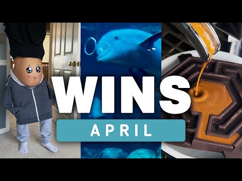 WIN Compilation April 2024 lyteCache.php?origThumbUrl=https%3A%2F%2Fi.ytimg.com%2Fvi%2FoVB7qjIz8iY%2Fhqdefault 