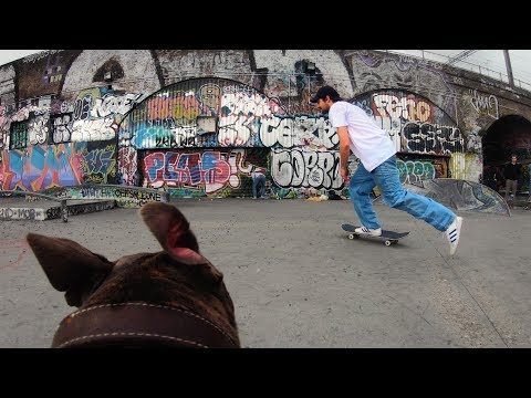 Hund als Verfolgungskamera im Skate-Park lyteCache.php?origThumbUrl=https%3A%2F%2Fi.ytimg.com%2Fvi%2FqKn4GglnRHs%2Fhqdefault 