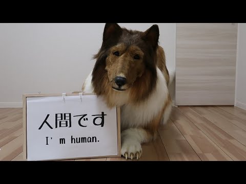 Mann in superrealistischem Hunde-Kostüm lyteCache.php?origThumbUrl=https%3A%2F%2Fi.ytimg.com%2Fvi%2Fqeq8vyxEIrI%2Fhqdefault 