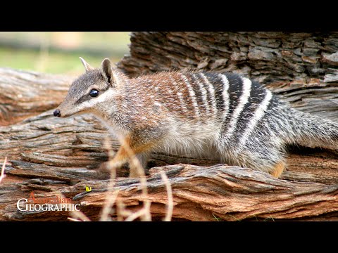 Fluff der Woche (77) lyteCache.php?origThumbUrl=https%3A%2F%2Fi.ytimg.com%2Fvi%2FtCQyM1-CLEk%2F0 