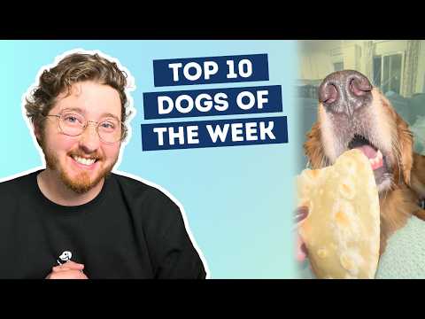 Fluff der Woche (112) lyteCache.php?origThumbUrl=https%3A%2F%2Fi.ytimg.com%2Fvi%2FuhtLh6oGjTs%2Fhqdefault 