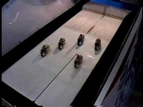 Mechanischer Spielautomat von 1973: SEGA Moto Champ lyteCache.php?origThumbUrl=https%3A%2F%2Fi.ytimg.com%2Fvi%2FxhO02gQEu-k%2Fhqdefault 