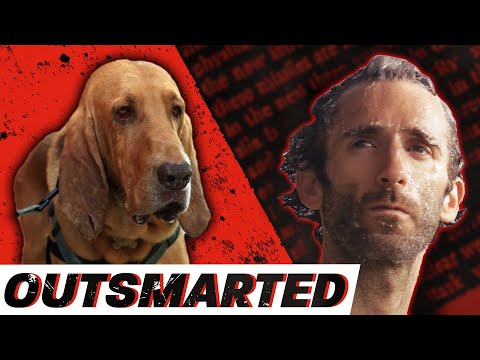 Experiment: Kann man einen Spürhund austricksen? lyteCache.php?origThumbUrl=https%3A%2F%2Fi.ytimg.com%2Fvi%2Fxoh8fjcfqEs%2Fhqdefault 