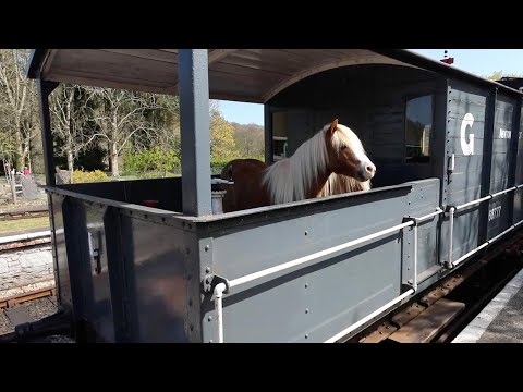 Fluff der Woche (101) lyteCache.php?origThumbUrl=https%3A%2F%2Fi.ytimg.com%2Fvi%2Fxp2jGFfQQFc%2Fhqdefault 