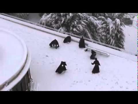Mönche bei der Schneeballschlacht lyteCache.php?origThumbUrl=https%3A%2F%2Fi.ytimg.com%2Fvi%2FyLyjyh45m8Y%2Fhqdefault 