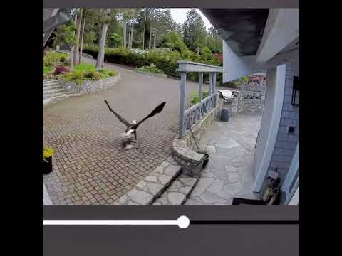 Montagsgefühle Nr. 342 lyteCache.php?origThumbUrl=https%3A%2F%2Fi.ytimg.com%2Fvi%2Fy_1ajEYCwbI%2Fhqdefault 