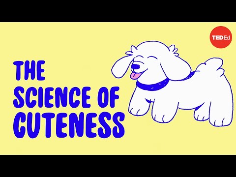 Die Wissenschaft dahinter, dass wir süße Dinge knuddeln wollen lyteCache.php?origThumbUrl=https%3A%2F%2Fi.ytimg.com%2Fvi%2FyxsoE3jO8HM%2Fhqdefault 