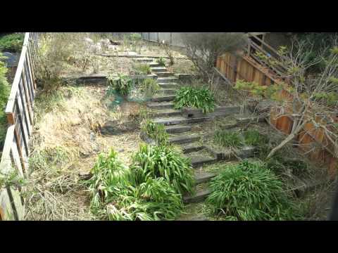 Timelapse-Video zeigt, wie Ziegen in 6 Tagen einen Garten wegfuttern lyteCache.php?origThumbUrl=https%3A%2F%2Fi.ytimg.com%2Fvi%2Fz-V64myPHJQ%2Fhqdefault 