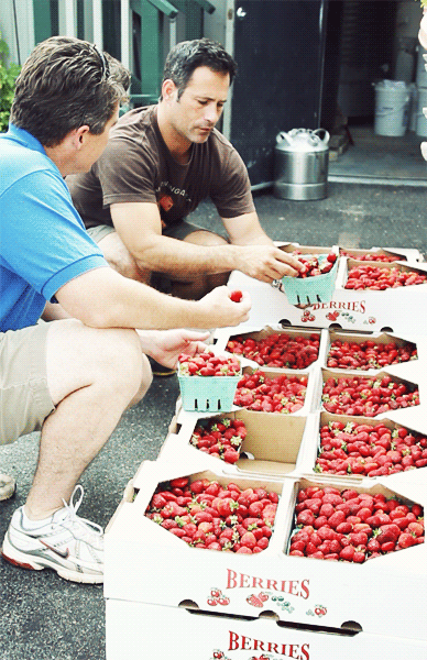 Bewegte Bilder erklären wie Erdbeerbier gemacht wird 1082071931 