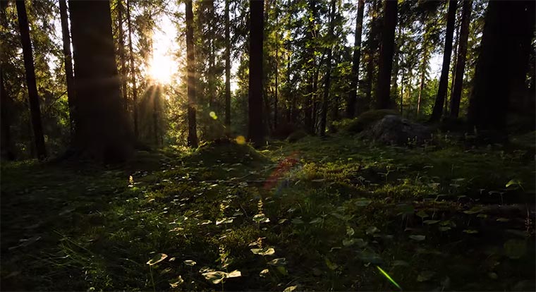 Timelapse: Kainuu Kainuu_timelapse_02 