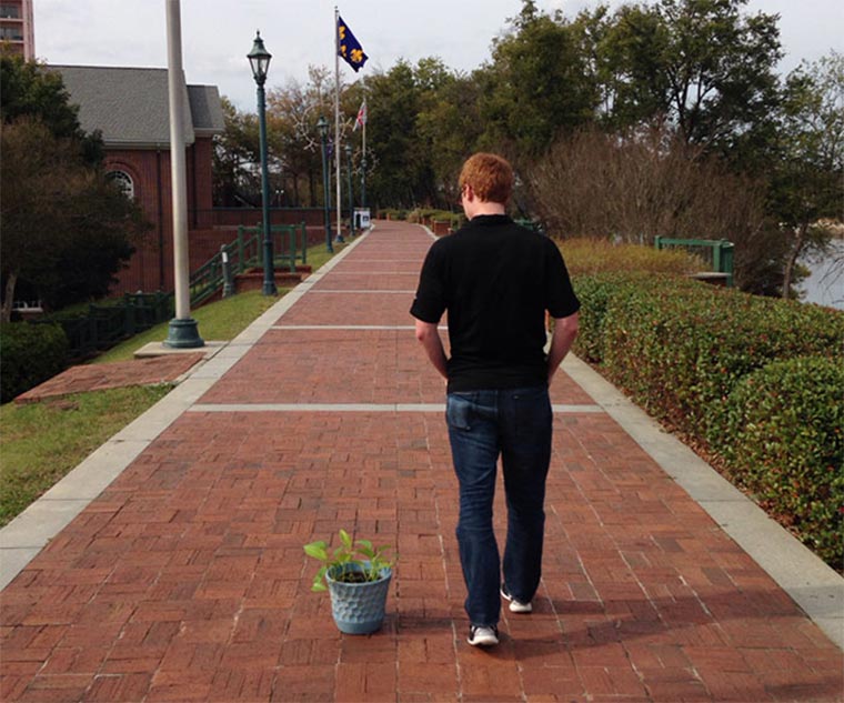 Die richtige Pflanzenpflege coworker_plant_01 