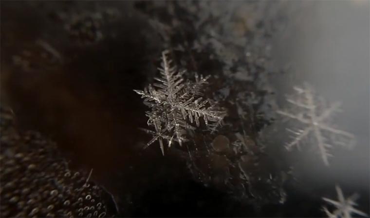 Geburt einer Schneeflocke Birth-of-a-snowflake 