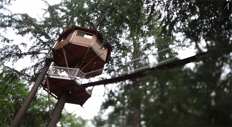 Leben in einem Baumhaus treehouse 