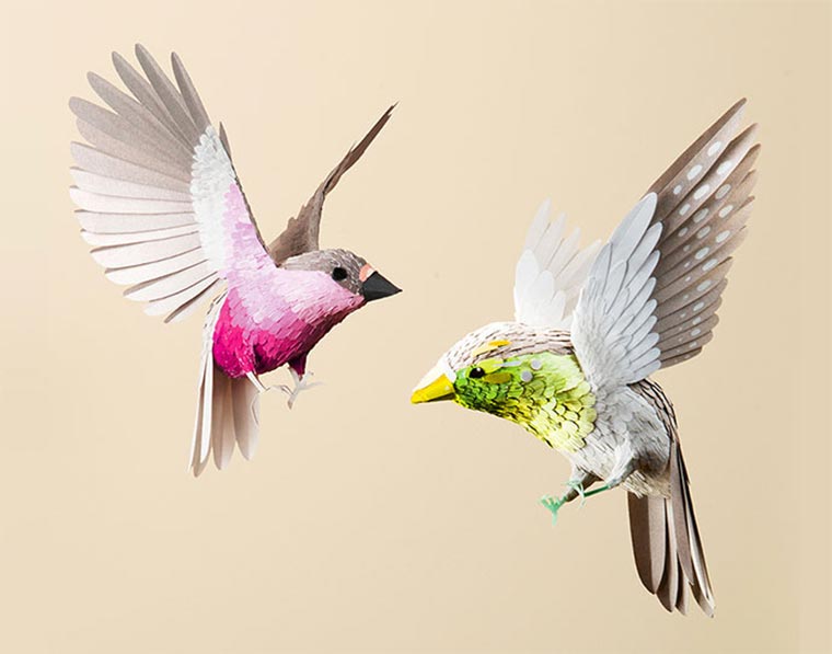 Papierkunst: Ollanski