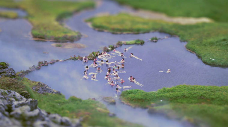 The Little Nordics The_Little_Nordics 