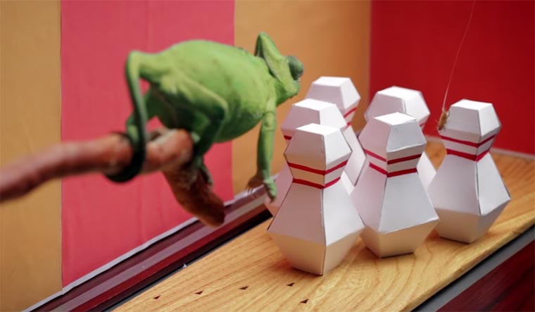 Chameleon Bowling chameleon-bowling