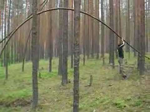 Volkssport in Russland: Baumstammwippen