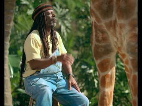 Blick hinter die verrückten Kulissen