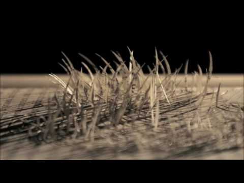 Buchseitenpapierkunstanimation