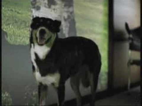 Großbildleinwand, yeah!